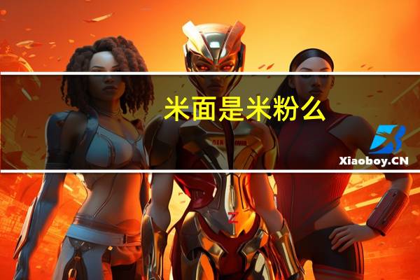米面是米粉么