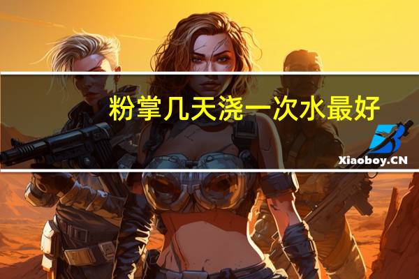 粉掌几天浇一次水最好