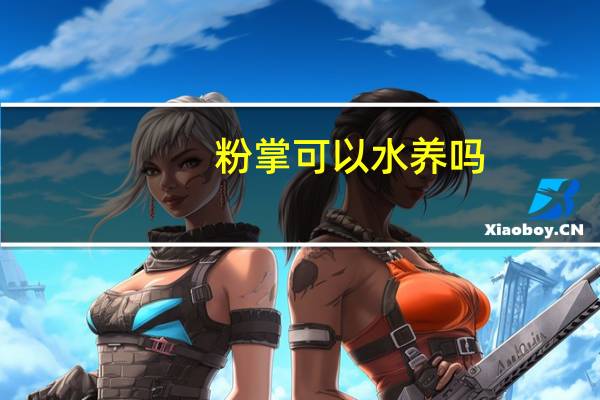 粉掌可以水养吗