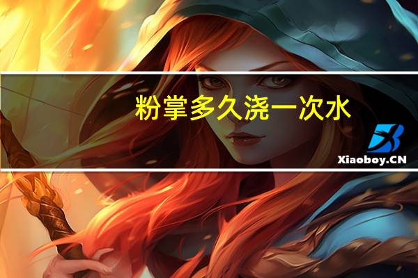 粉掌多久浇一次水
