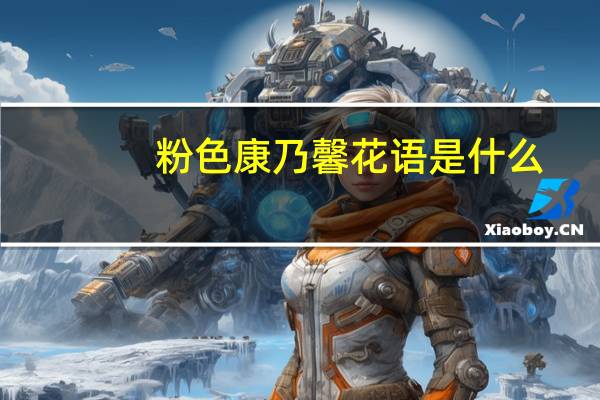 粉色康乃馨花语是什么