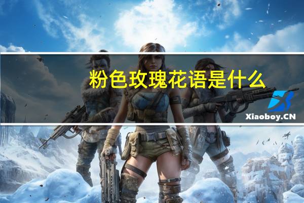 粉色玫瑰花语是什么?