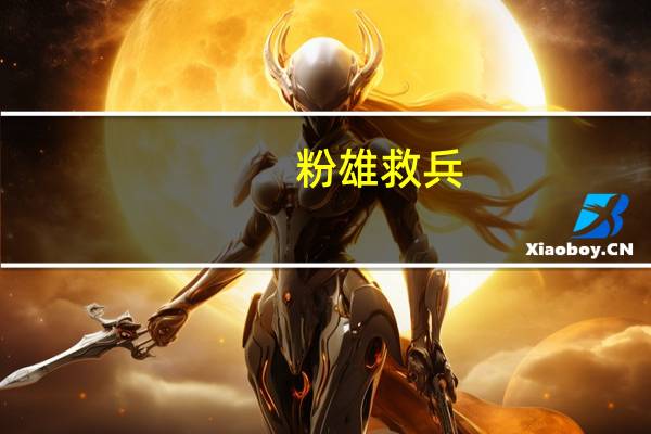 粉雄救兵（粉雄救兵-2003年Bravo出品真人秀节目简介）