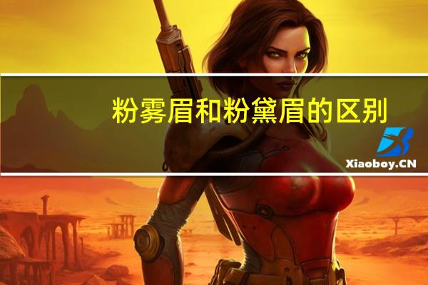粉雾眉和粉黛眉的区别