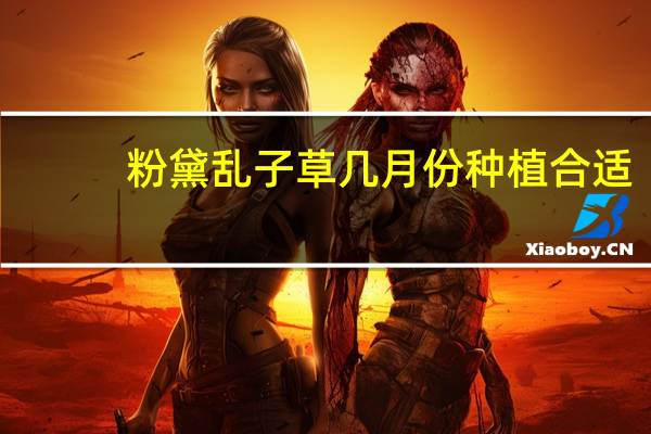 粉黛乱子草几月份种植合适