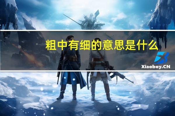 粗中有细的意思是什么（粗中有细）