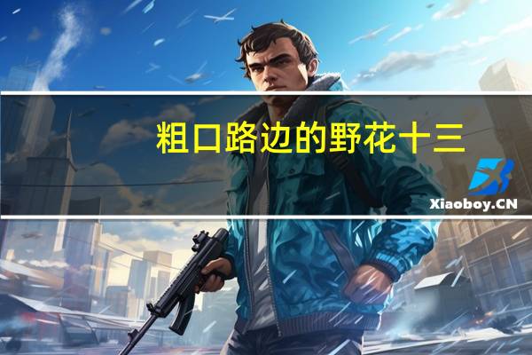 粗口路边的野花十三