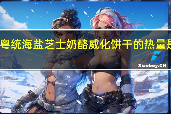 粤统 海盐芝士奶酪威化饼干的热量是多少