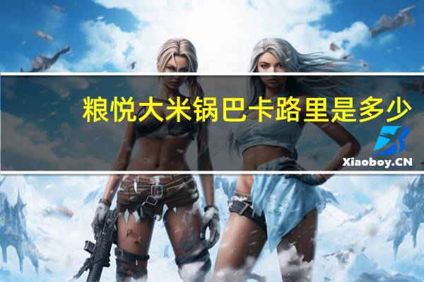 粮悦 大米锅巴卡路里是多少