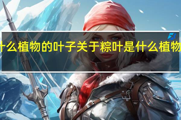 粽叶是什么植物的叶子 关于粽叶是什么植物的叶子的介绍