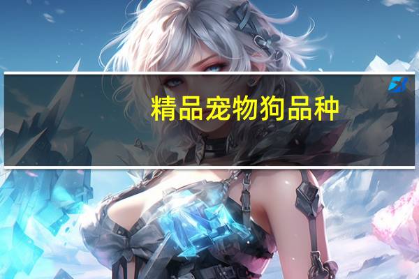 精品宠物狗品种