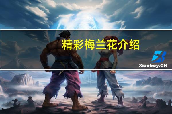 精彩梅兰花介绍