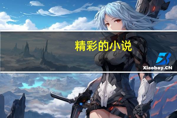 精彩的小说