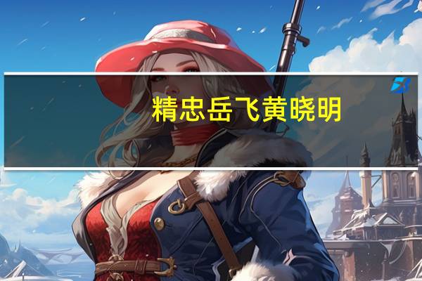 精忠岳飞黄晓明（岳飞 黄晓明）