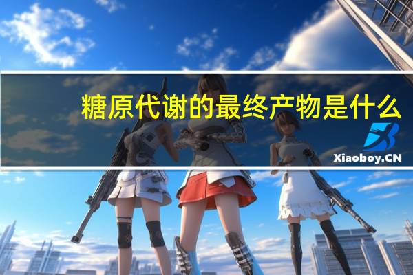 糖原代谢的最终产物是什么