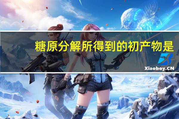 糖原分解所得到的初产物是