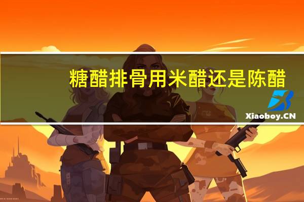 糖醋排骨用米醋还是陈醋
