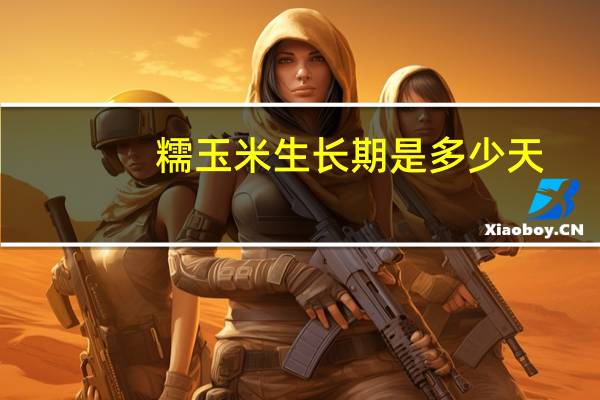 糯玉米生长期是多少天