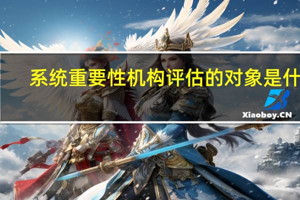 系统重要性机构评估的对象是什么