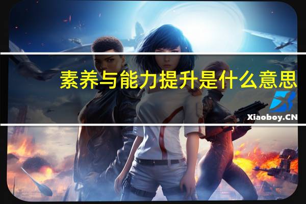 素养与能力提升是什么意思