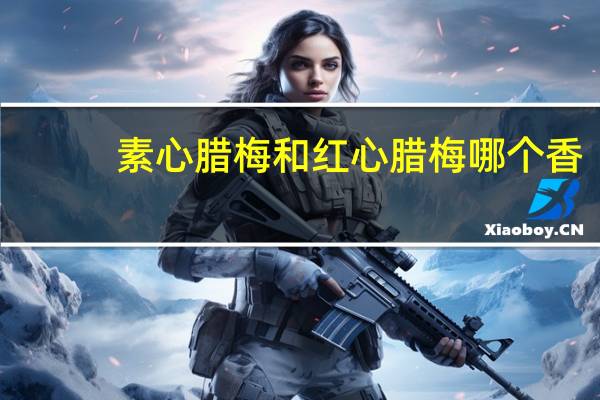 素心腊梅和红心腊梅哪个香