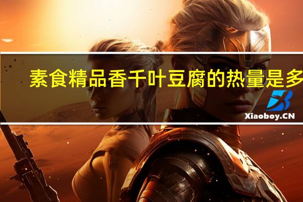 素食精品 香千叶豆腐的热量是多少