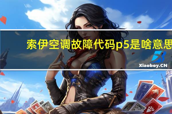 索伊空调故障代码p5是啥意思（索伊空调故障代码）