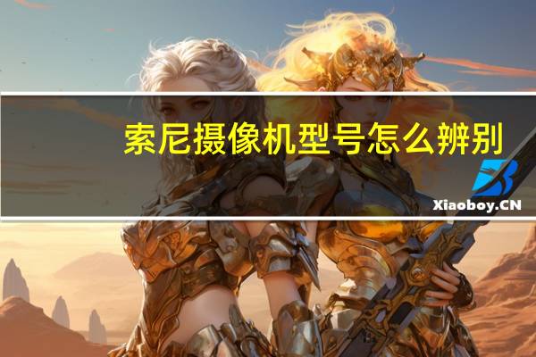 索尼摄像机型号怎么辨别（索尼摄像机型号）