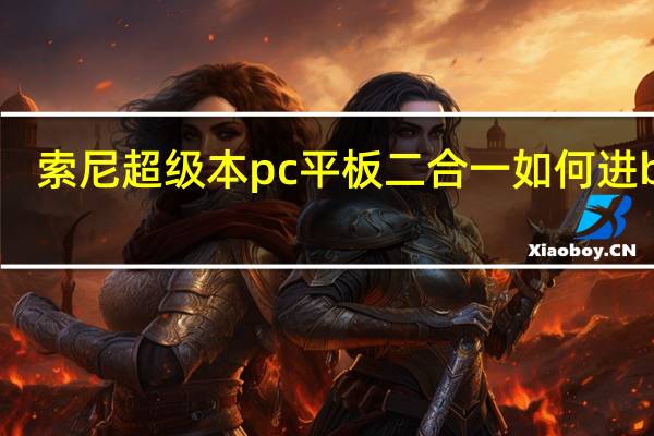 索尼超级本pc平板二合一如何进bios
