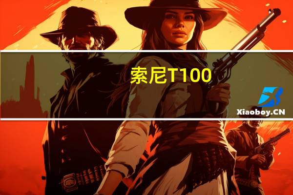 索尼T100（索尼t100）