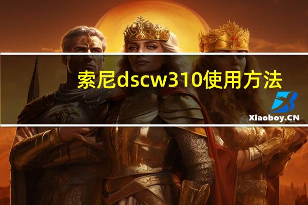 索尼dscw310使用方法（索尼dscw310）