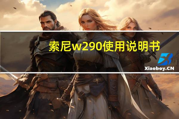 索尼w290使用说明书(索尼w290)