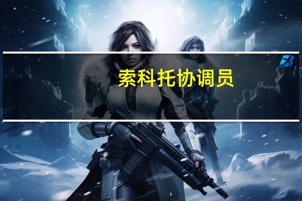 索科托协调员：不安全地区无部队人员驻扎