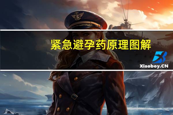 紧急避孕药原理图解(紧急避孕药原理)