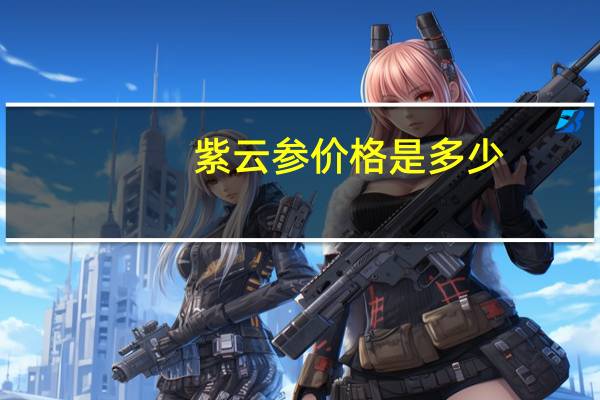 紫云参价格是多少（紫云参价格）