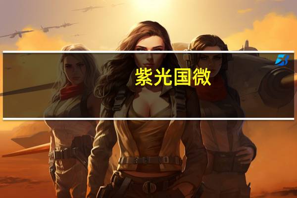 紫光国微:公司毛利率水平基本稳定 短期内没有大幅下滑的可能