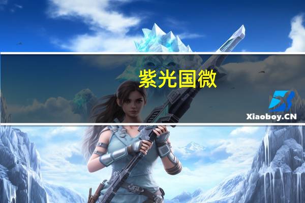 紫光国微：目前没有直接用于手机终端卫星通话的产品