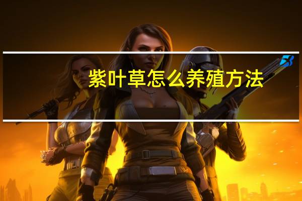 紫叶草怎么养殖方法