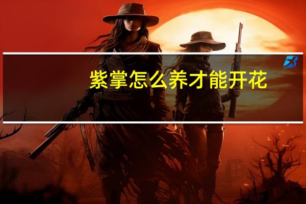 紫掌怎么养才能开花