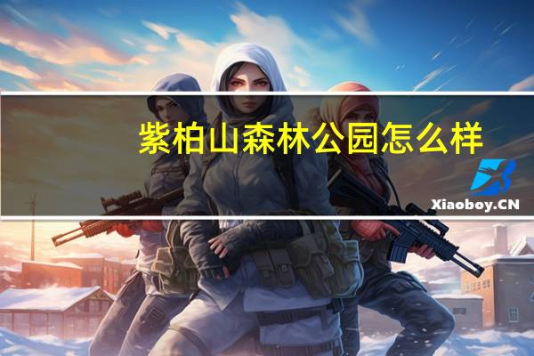 紫柏山森林公园怎么样