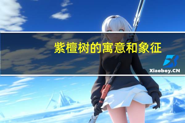 紫檀树的寓意和象征
