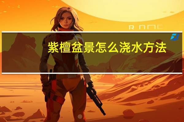 紫檀盆景怎么浇水方法