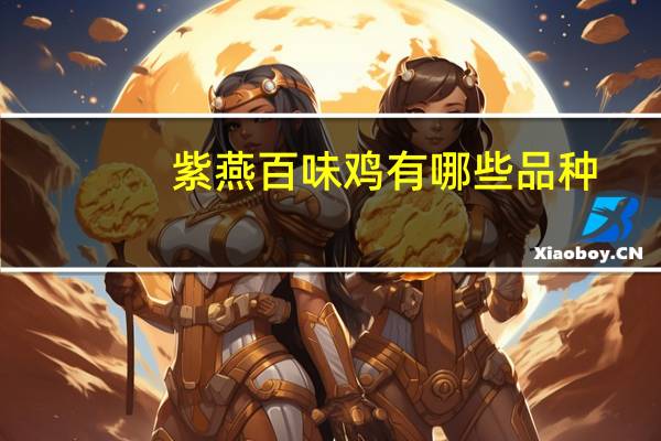 紫燕百味鸡有哪些品种