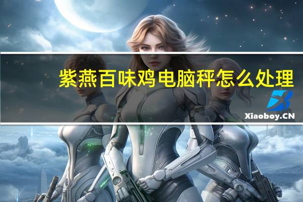 紫燕百味鸡电脑秤怎么处理