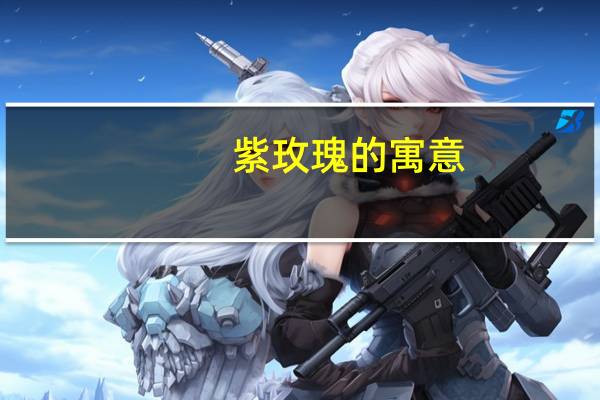 紫玫瑰的寓意