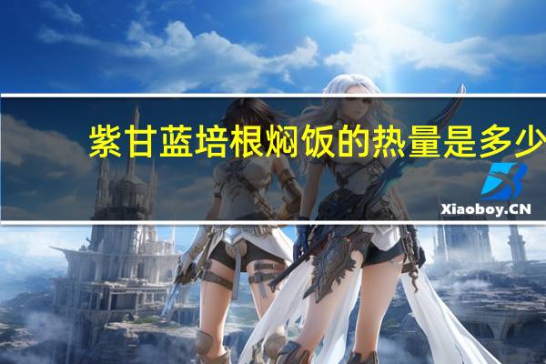 紫甘蓝培根焖饭的热量是多少