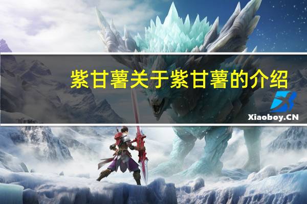 紫甘薯 关于紫甘薯的介绍