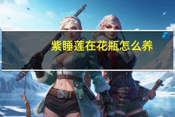 紫睡莲在花瓶怎么养