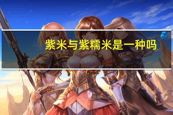 紫米与紫糯米是一种吗