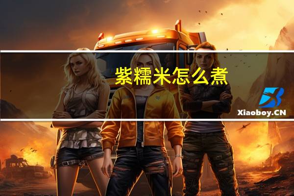 紫糯米怎么煮